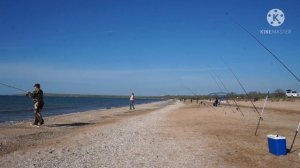 Рыбалка Крым тест удилища Boya By carbon surf ACTION 450