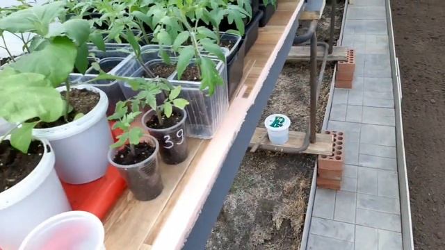 Огород в конце апреля. Опора для кустов. Что с рассадой? смотреть онлайн