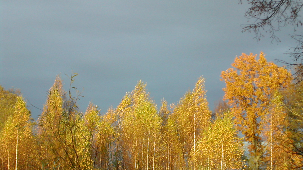 Иеромонах Роман. Родник («Если тебя неудача постигла...») смотреть онлайн