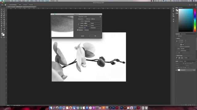 Convert an Image to Grayscale in Adobe Photoshop смотреть онлайн