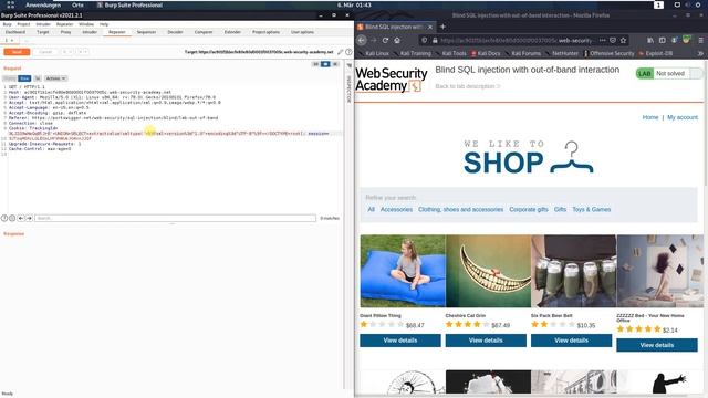 Blind SQL injection with out-of-band interaction (Video solution, Audio) смотреть онлайн