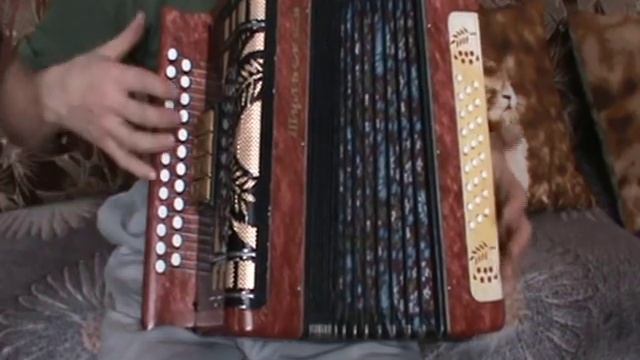 Плот с нотами в цифрах смотреть онлайн