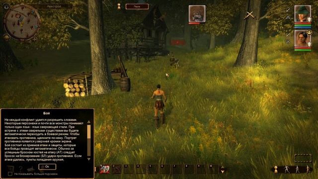 ПРОХОЖДЕНИЕ DRAKENSANG THE DARK EYE | ЧАСТЬ 1 смотреть онлайн