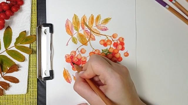 Как рисовать акварельными карандашами: 3 простых способа. Обзор акварельных карандашей "Белые ночи" смотреть онлайн