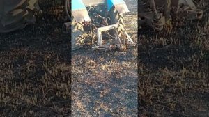 Обзор самодельного корчевателя пней на тракторе МТЗ 82.1