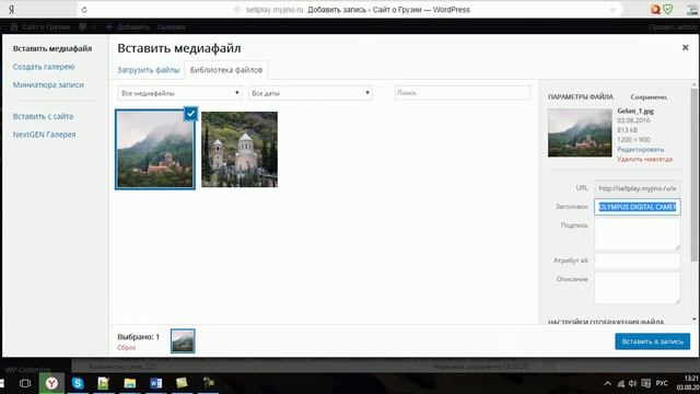 Как добавить запись в WordPress (без звука) смотреть онлайн