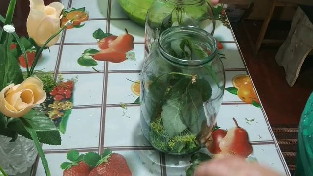 Огурцы в огурцах на зиму ✨ смотреть онлайн