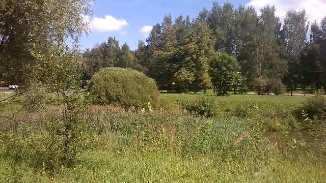 Школа живописи. Этюд - это просто! Sketch painting. смотреть онлайн