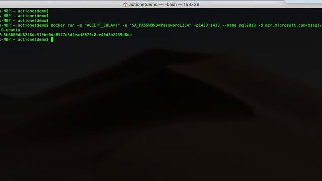 Docker Run SQL Server 2019 MacOSX смотреть онлайн