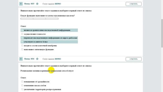 ЕГЭ открытый банк ФИПИ смотреть онлайн