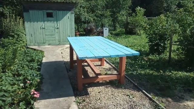 Дачный стол! смотреть онлайн