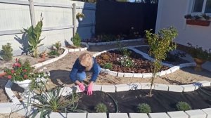 Клумба своими руками. Дизайн клумбы перед домом