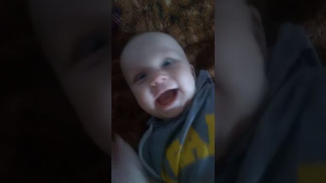 Маленький волк смотреть онлайн