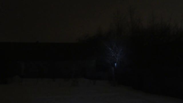 Нож фонарь Steelclaw "Спелеолог", 8CR13MoV, 300лм смотреть онлайн