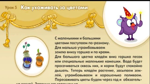 Лайфхаки для Красоты и Здоровья