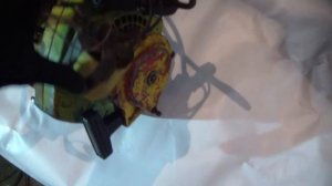 Двухцилиндровая бензопила Урал