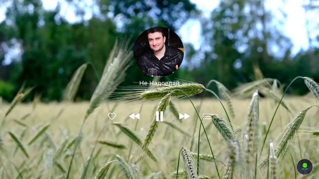 Арсен ШАХУНЦ Самые Лучшие Песни | 2021 смотреть онлайн