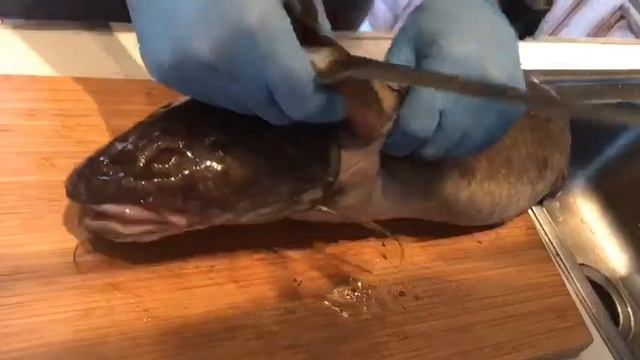 Как почистить налима. смотреть онлайн