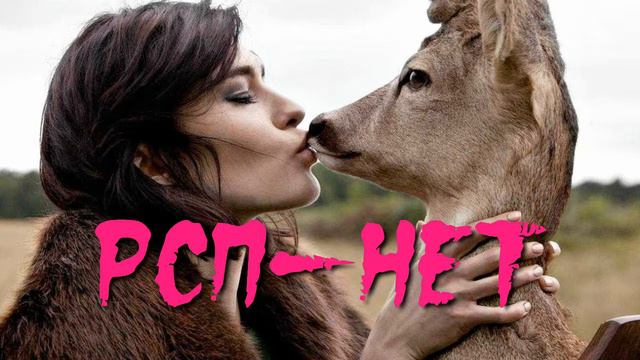 Что такое РСП