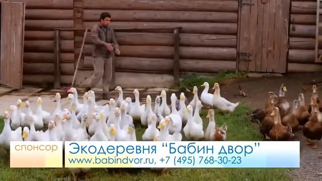 Загородный комплекс экодеревня «Бабин двор» смотреть онлайн
