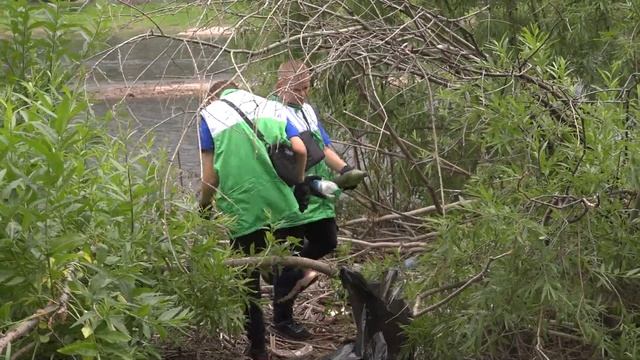 Провести время с пользой для себя и природы смотреть онлайн