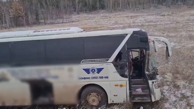 В ДТП в Тулунском районе погибли 2 коровы смотреть онлайн