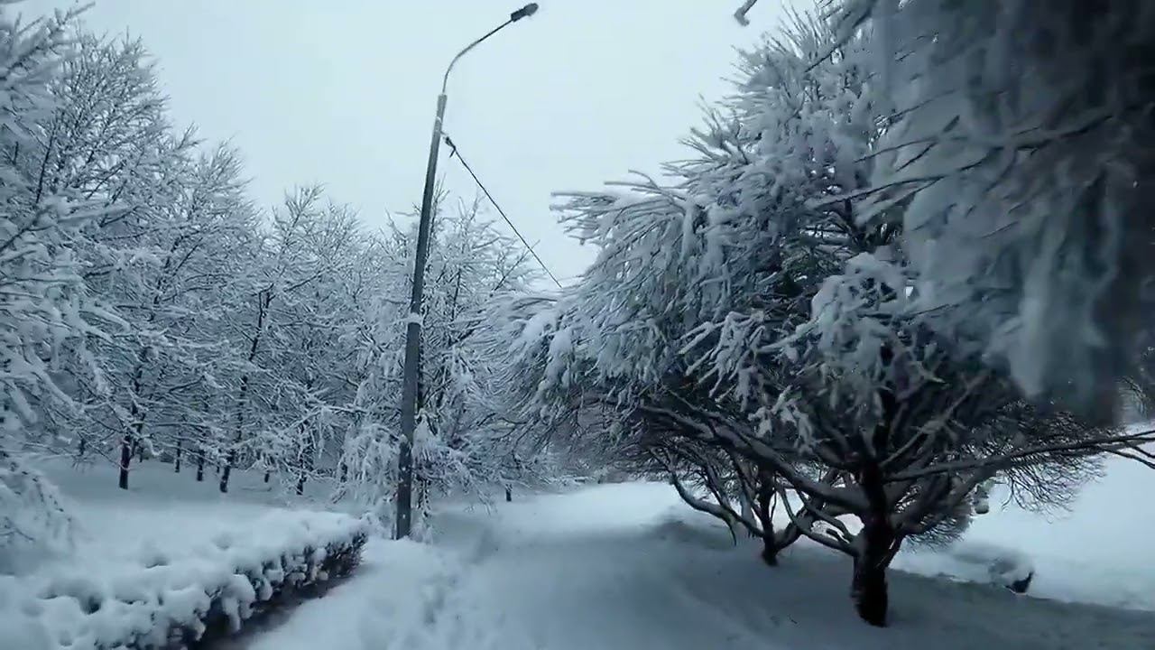 Цыганская версия СЕДАЯ НОЧЬ #gipsymusic #бахталэрома #цыганскаясвадьба #shorts #youtube смотреть онлайн