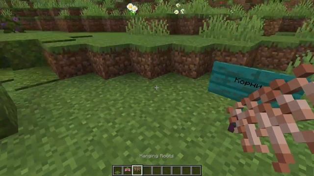 РАСТЕНИЯ ИЗ ПЕЩЕР, НОВЫЕ ДЕРЕВЬЯ - Обзор снапшота 21w05a майнкрафта 1.17 смотреть онлайн