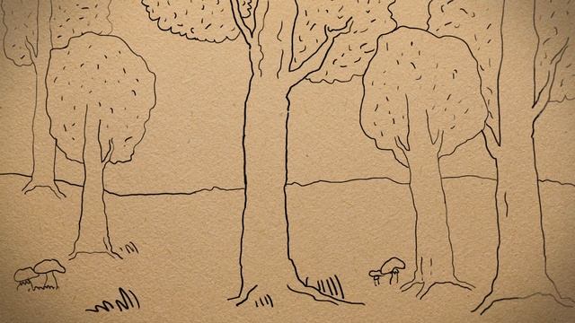 Экопросветительский видеоролик Минприроды России Что такое заповедник? смотреть онлайн