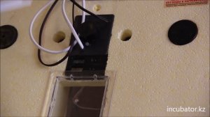 Вопросы эксплуатации инкубатора Золушка