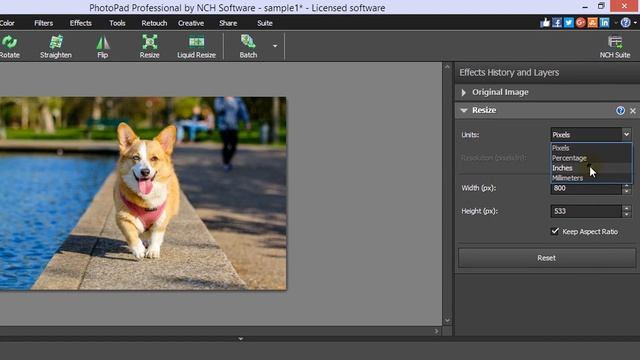 How to Resize Photos | PhotoPad Photo Editor Tutorial смотреть онлайн