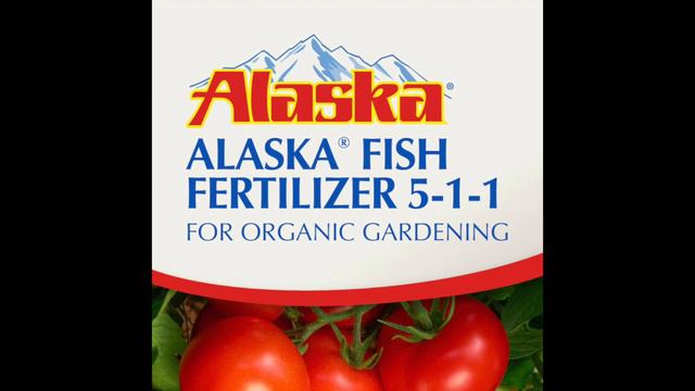 Q/A #2 - How Do You Get Your Vegetables To Grow So Big? Plant Nutrition 101 смотреть онлайн
