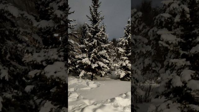 Amazing Astana (Nur-Sultan) City Parks. ZhetySu смотреть онлайн