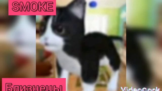 Какая ты Игра и песня по знаку задиака Часть #1 смотреть онлайн