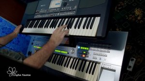 Yamaha Tyros vs Korg PA600. Часть 2