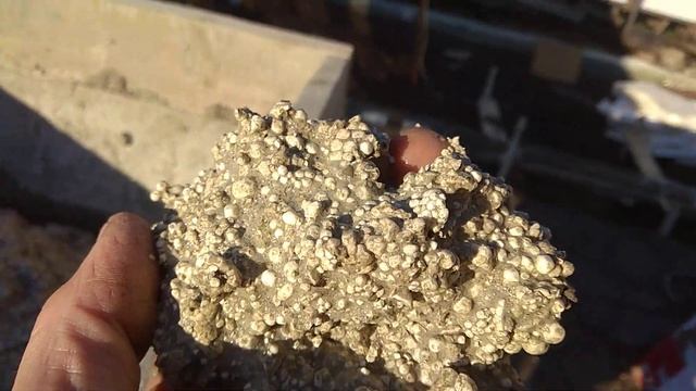 Заливка утепленного фундамента теплицы ( Эксперимент). смотреть онлайн