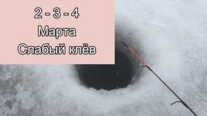 Прогноз клева рыбы на Эту неделю с 28 по 6 Марта Календарь рыбака на март Лунный календарь