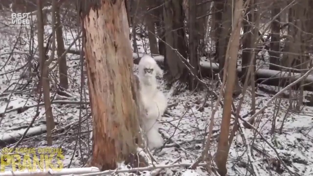 Настоящий снежный человек. смотреть онлайн