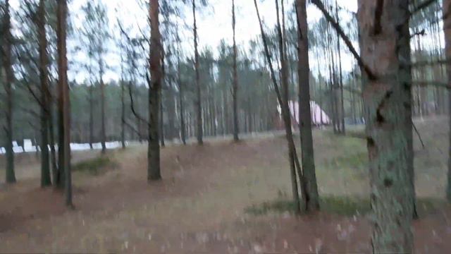 Сестрорецк Санаторий Дюны смотреть онлайн