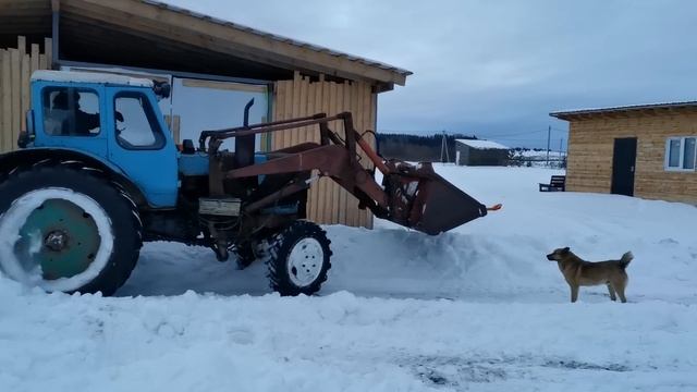 НОВЫЙ ТРАКТОР В ХОЗЯЙСТВЕ БЕЛАРУС 80 смотреть онлайн