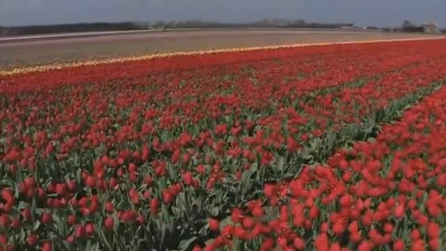 Надежда Дудка-Вышник и Галина Махова - Травиночка смотреть онлайн