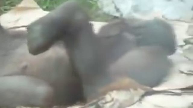 Только для взрослых! смотреть онлайн