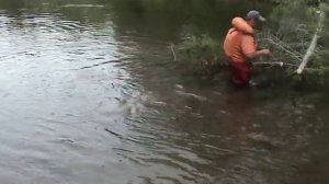 река Орлинга - река Лена. Сплав, рыбалка.