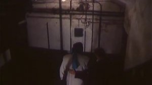 Окно в Париж (1993) - Сбытие ностальгии
