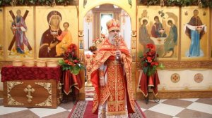Проповедь в день празднования иконы Живоносный Источник