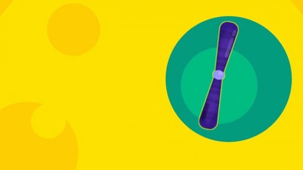 Understanding The Female Reproductive System