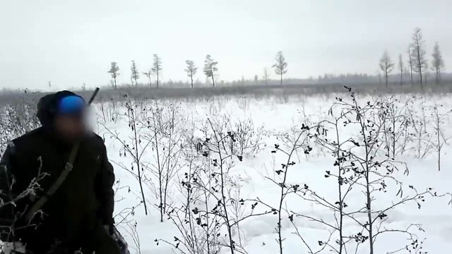 охота на изюбря в загоне смотреть онлайн