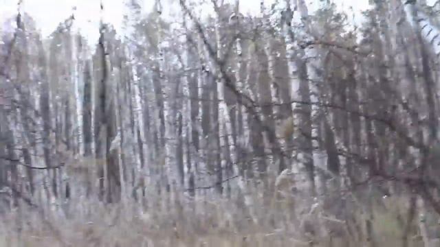 Последнее видео Скрытой Камеры. Не вернулся из леса смотреть онлайн