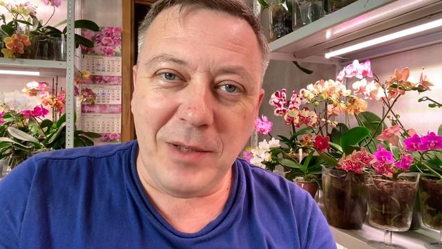 МАТРЁШКИ отдыхают а я на газетную рекламу не ВЕДУСЬ смотреть онлайн