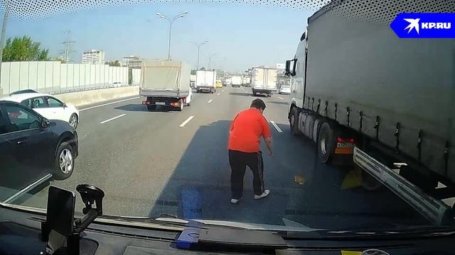 Котенок оказался на МКАД, чудом не попав под колеса, его спас водитель фуры. смотреть онлайн